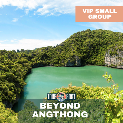 Koh Samui: Discover Pig Island & Five Island VIP
